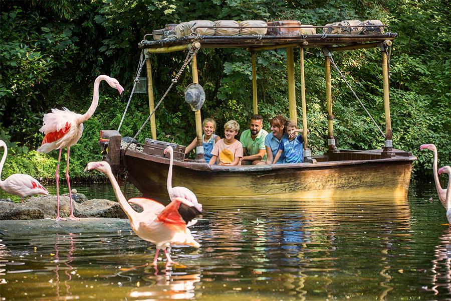 Gezin in safariboot met flamingo's