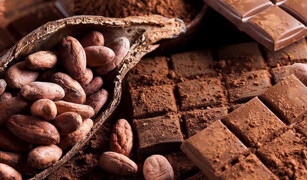 Cacaomuseum chocoladeproeverij en rondleiding