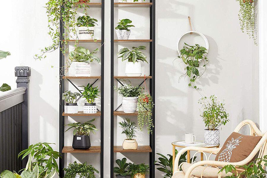 2 boekenkasten vol met groene planten