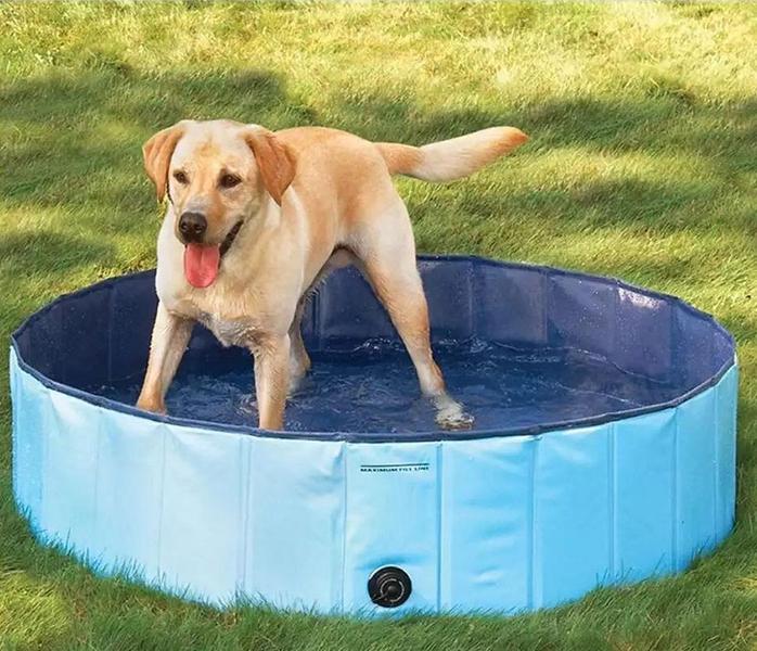Hondenzwembad 120 cm