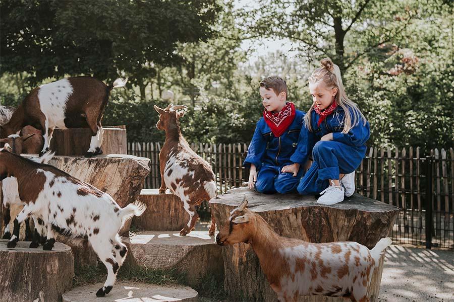 Vakantiepark Dierenbos: Kids Lodgetent Pauw tijdens de Meivakantie / Pinksteren incl. Beekse Bergen (6p.)