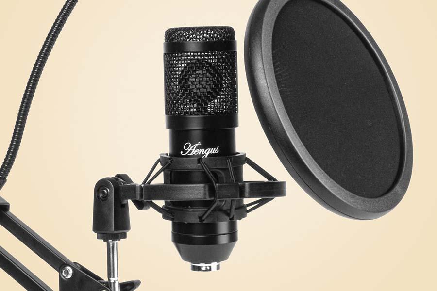 Professionele studio-microfoon van Áengus