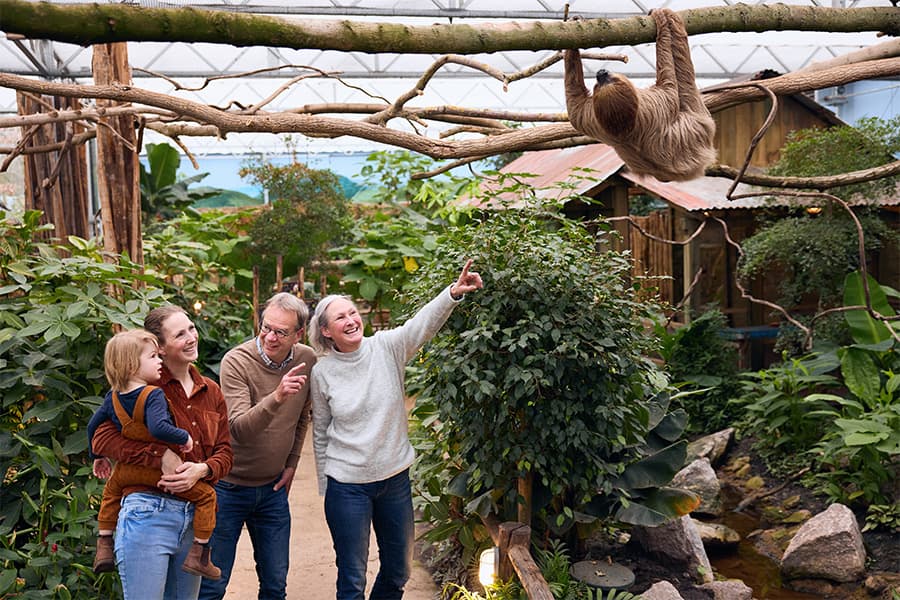 ZooParc Overloon entreeticket